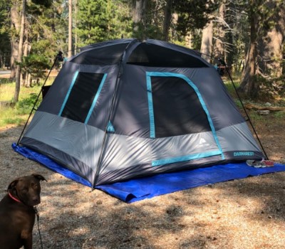 Ozark Trail Family Camping with Electrical Port Access